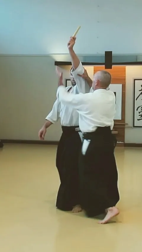 Mike Flynn Sensei showing Tantō-dori Shōmen-uchi Gokyō (短刀取り 正面打ち 五