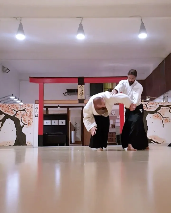 Pablo Martín Sensei showing Katate-dori Ai-hanmi Jiyū-waza (片手取り 相半身 自