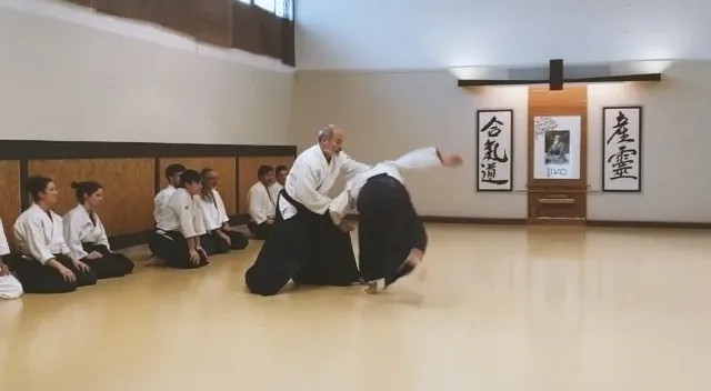 Xavi Serra Sensei showing Shōmen-uchi Kaiten-nage (正面打ち 回転投げ) with Joa