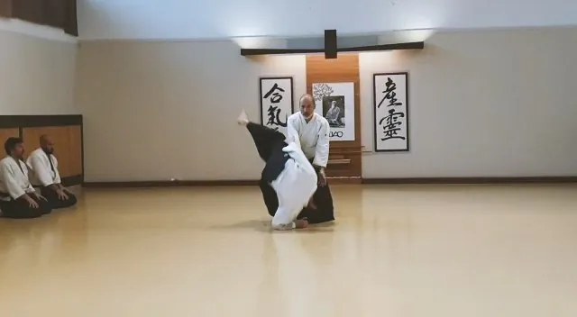 Xavi Serra Sensei showing Shōmen-uchi Kokyū-nage (正面打ち 呼吸投げ) with @jl.