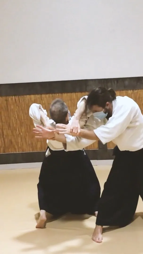 Pablo Martín Sensei showing Ryōte-dori Shihō-nage and Shihō-giri with 