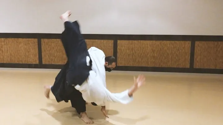 Taron Hamkhiyan showing Ryōte-dori Ō-goshi, Koshi-nage, Tenchi-nage, a