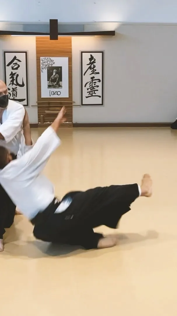 Mike Flynn Shihan showing Shōmen-uchi Irimi-nage; Irimi and Ushiro-ten