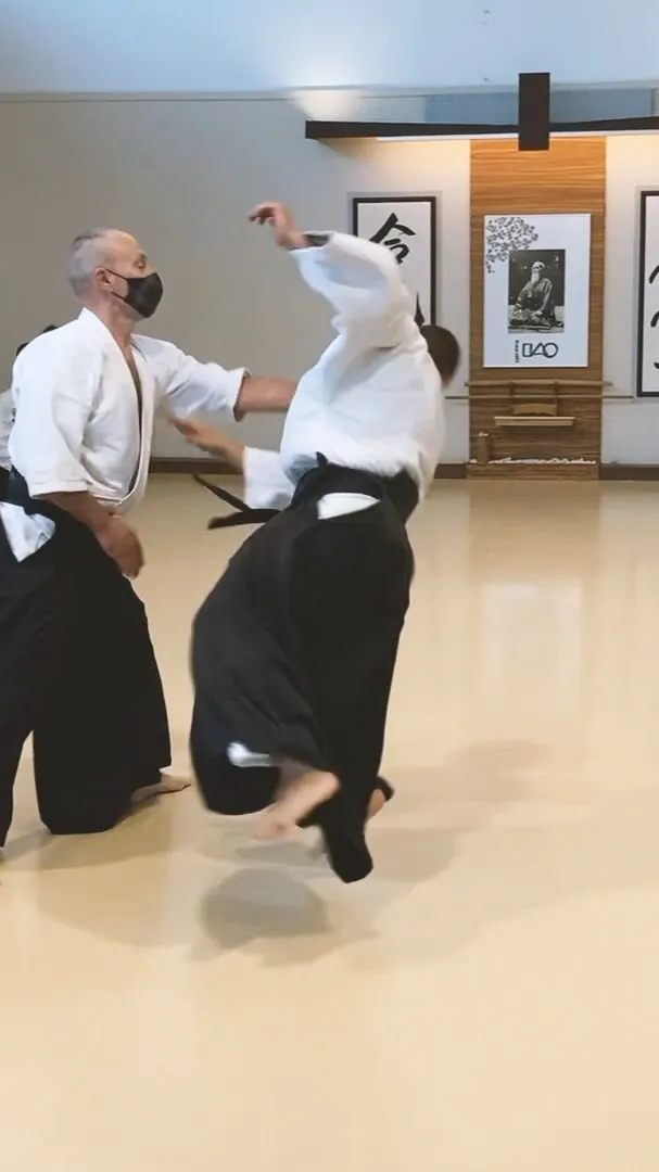 Mike Flynn Shihan showing Shōmen-uchi Kiri-otoshi and Ushiro-tenkan I