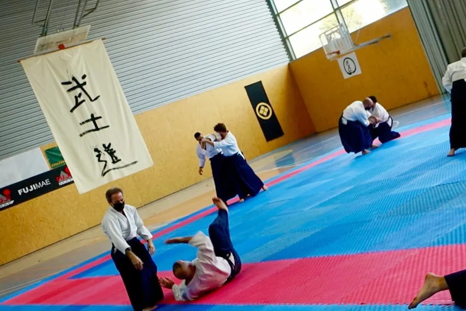 7a Embukai d'Aikido organitzada per @aikido.makoto.oficial amb el supo