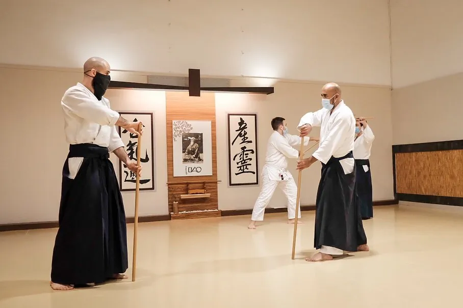 Buki-waza (武器技)! 🏑🏒🥍🧹