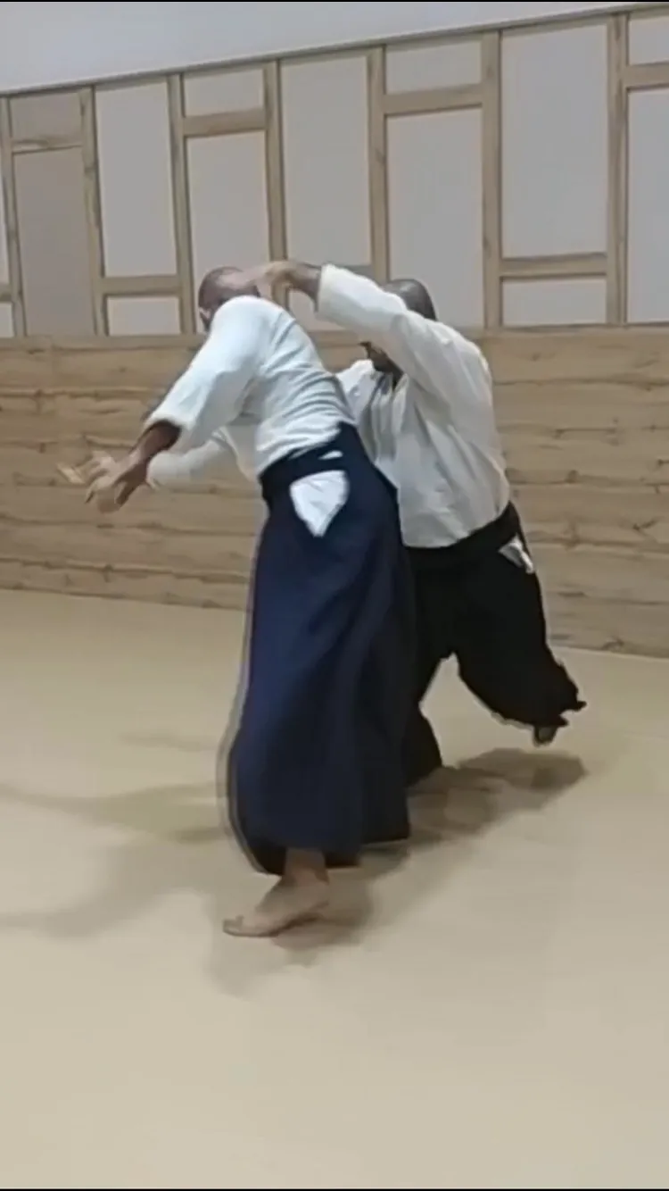 Taron Hamkhiyan ✕ Irimi-nage (入身投げ) w/ @adan.garcia.fernandez!