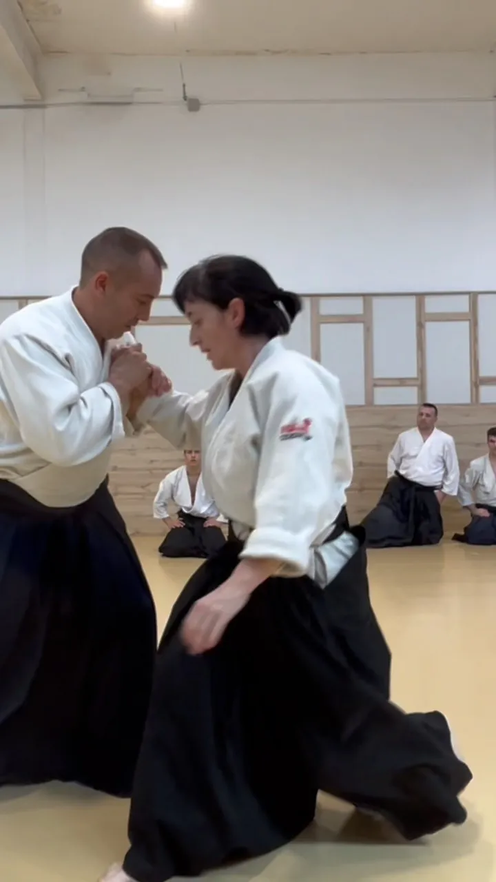 Aikido Musubi ✕ Francesc Castellanos Sensei!