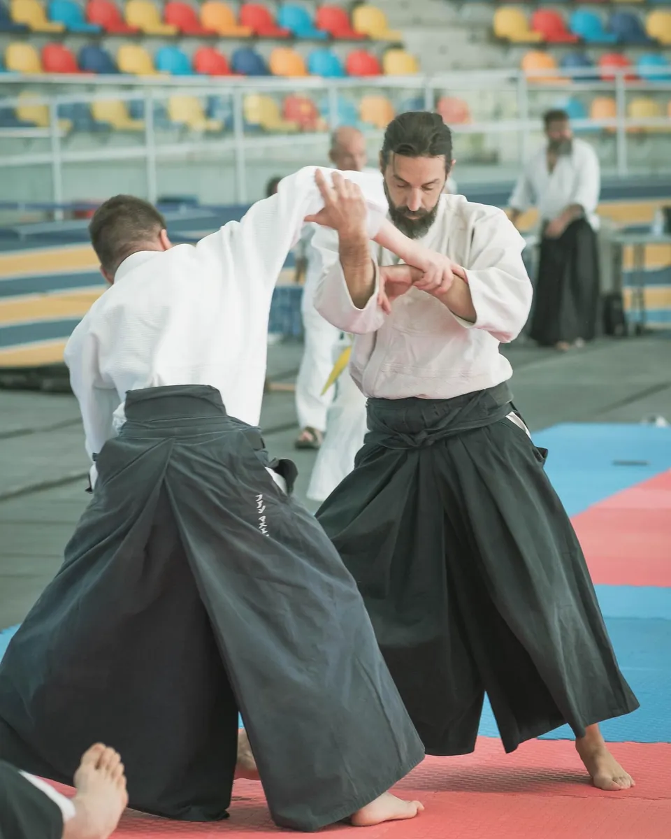 Aikido demonstration with @franciscoaikido Arashi Group (嵐グループ) at the