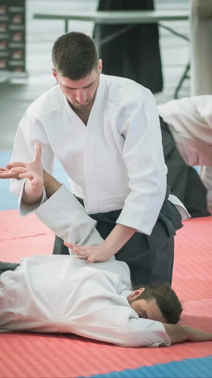 Aikido demonstration with @franciscoaikido Arashi Group (嵐グループ) at the