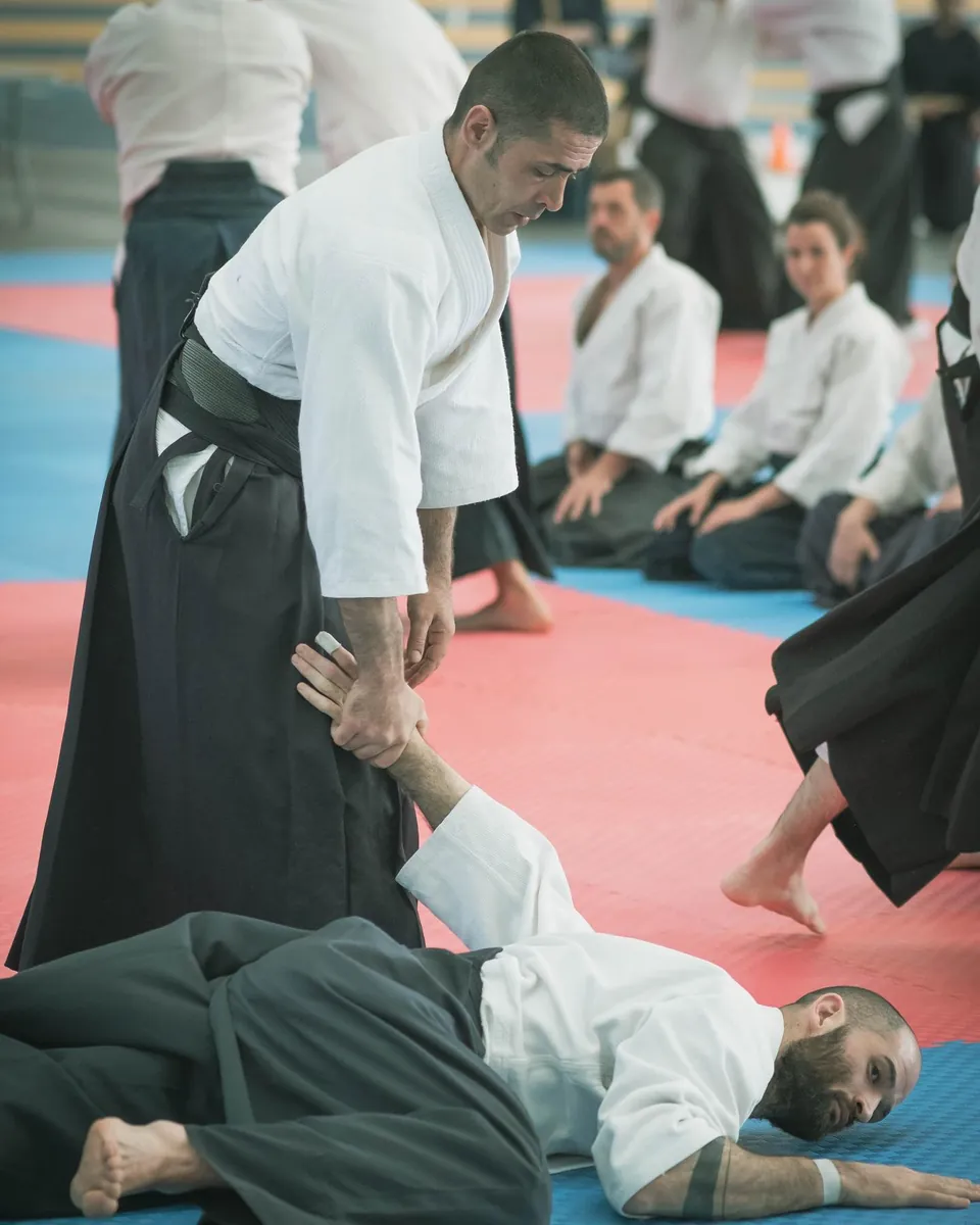 Aikido demonstration with @franciscoaikido Arashi Group (嵐グループ) at the