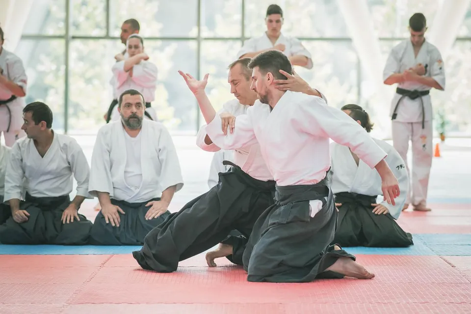 Francesc Castellanos Sensei demonstrating Shomen-uchi Irimi-nage Zagi 