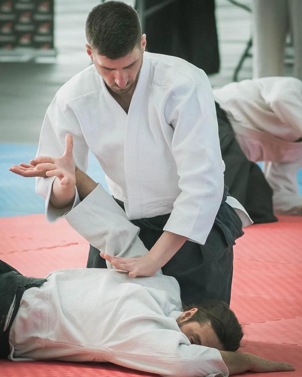Aikido demonstration with @franciscoaikido Arashi Group (嵐グループ) at the