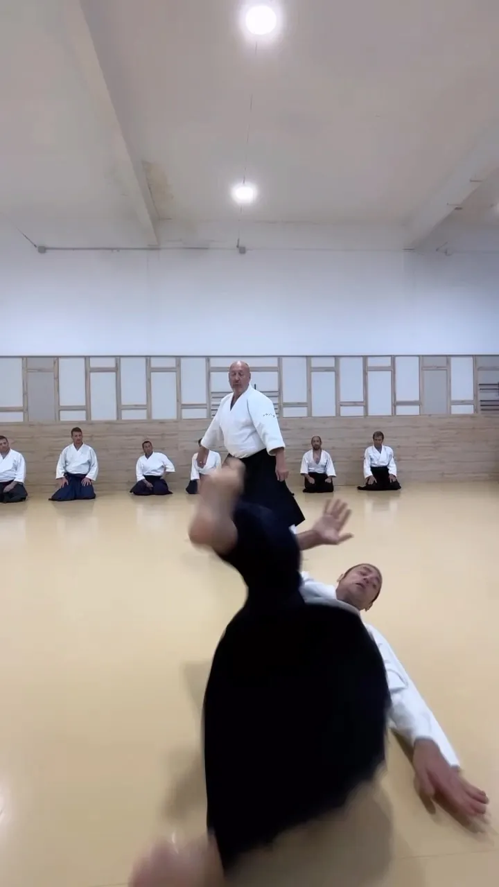 Aikido class with @franciscoaikido 6th Shihan! It was a great honor to