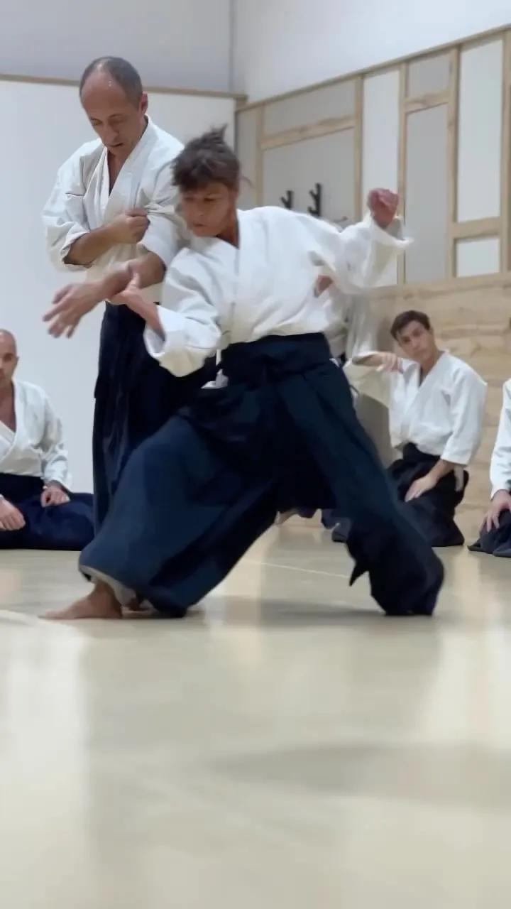 Emilio Cardia Sensei Masterclass at Aikido Musubi. Part 1 of 2.