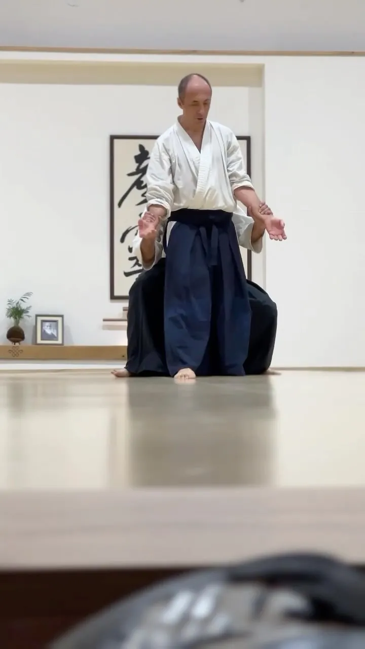 Emilio Cardia Sensei Masterclass at Aikido Musubi. Part 2 of 2.