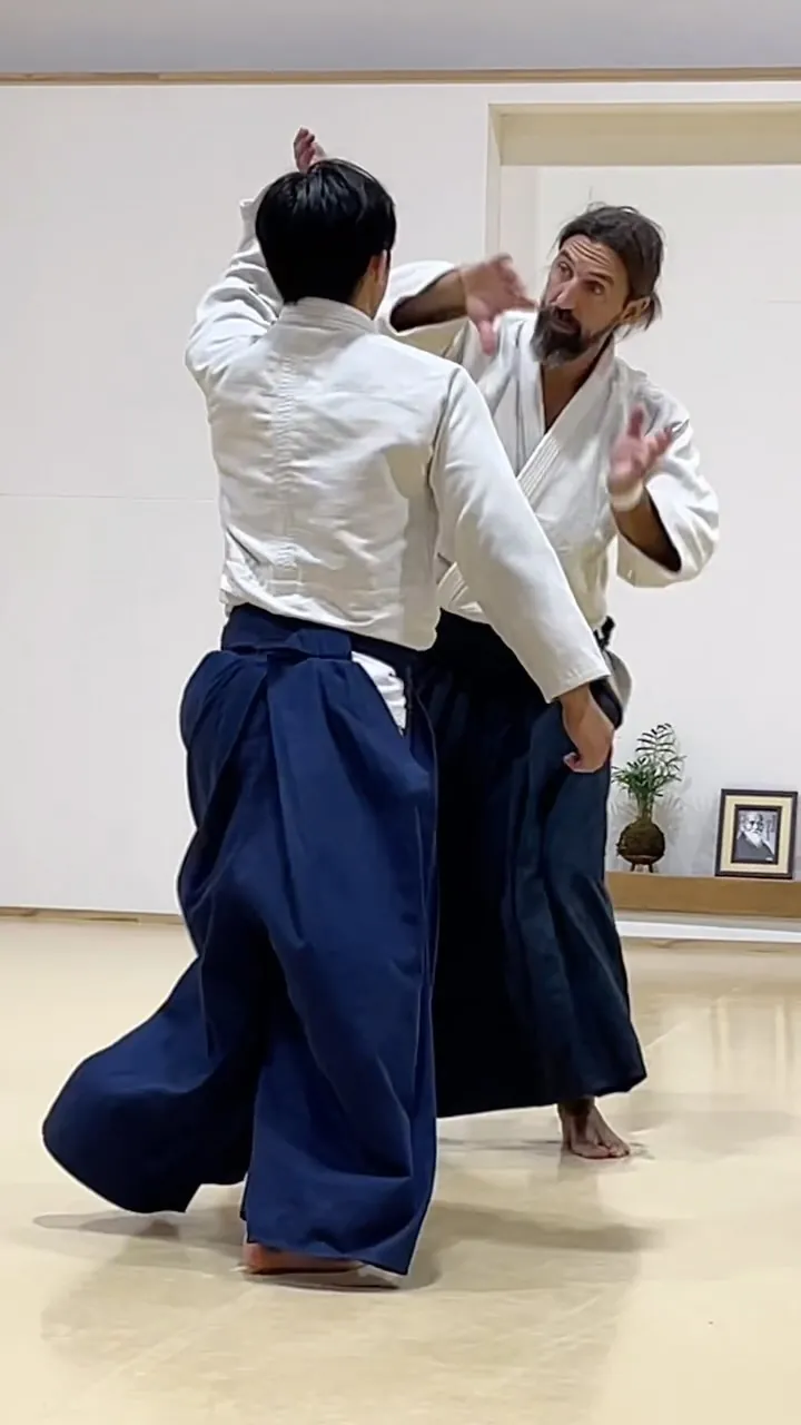 TENSHIN てんしん 【転進, 転針】