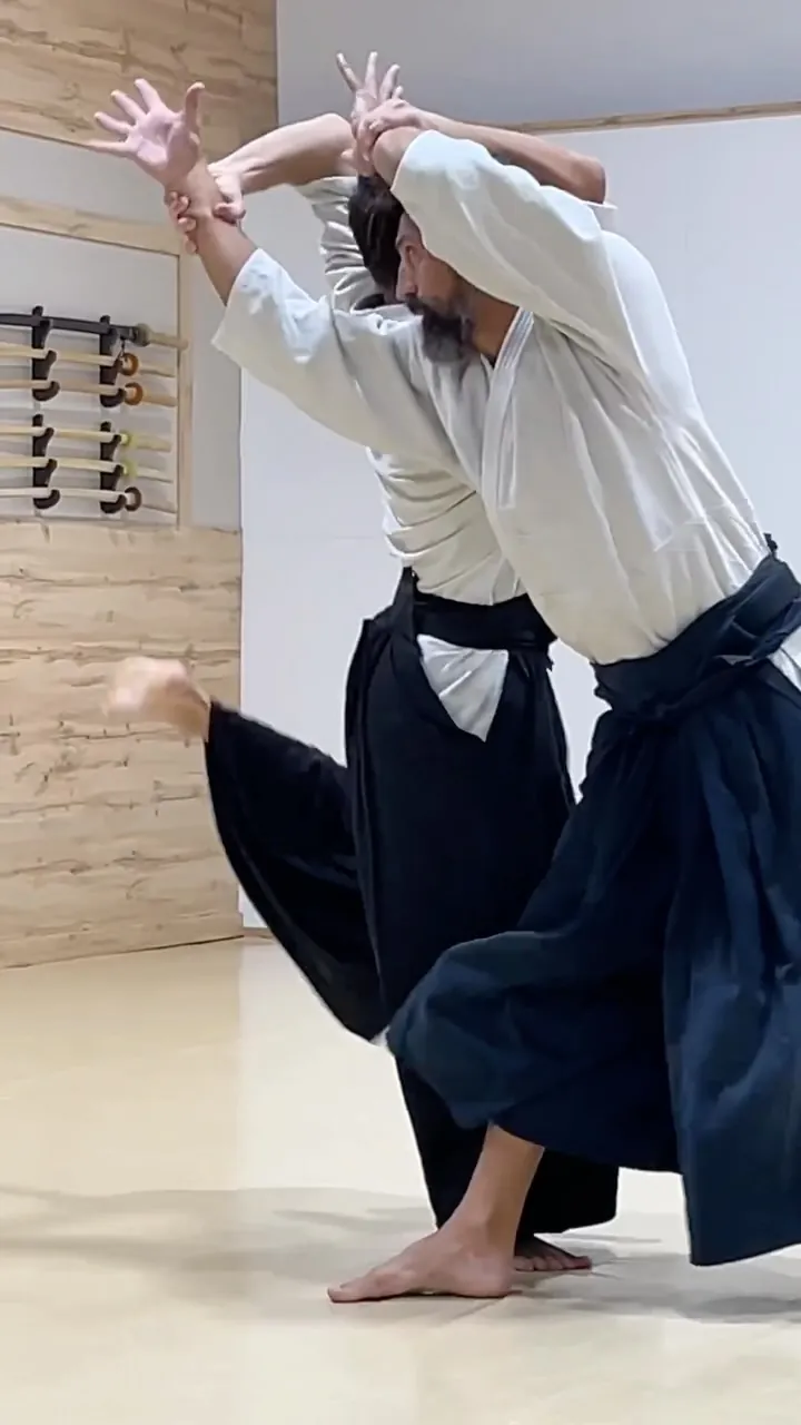 Is shihō-nage the best technique? 🤔