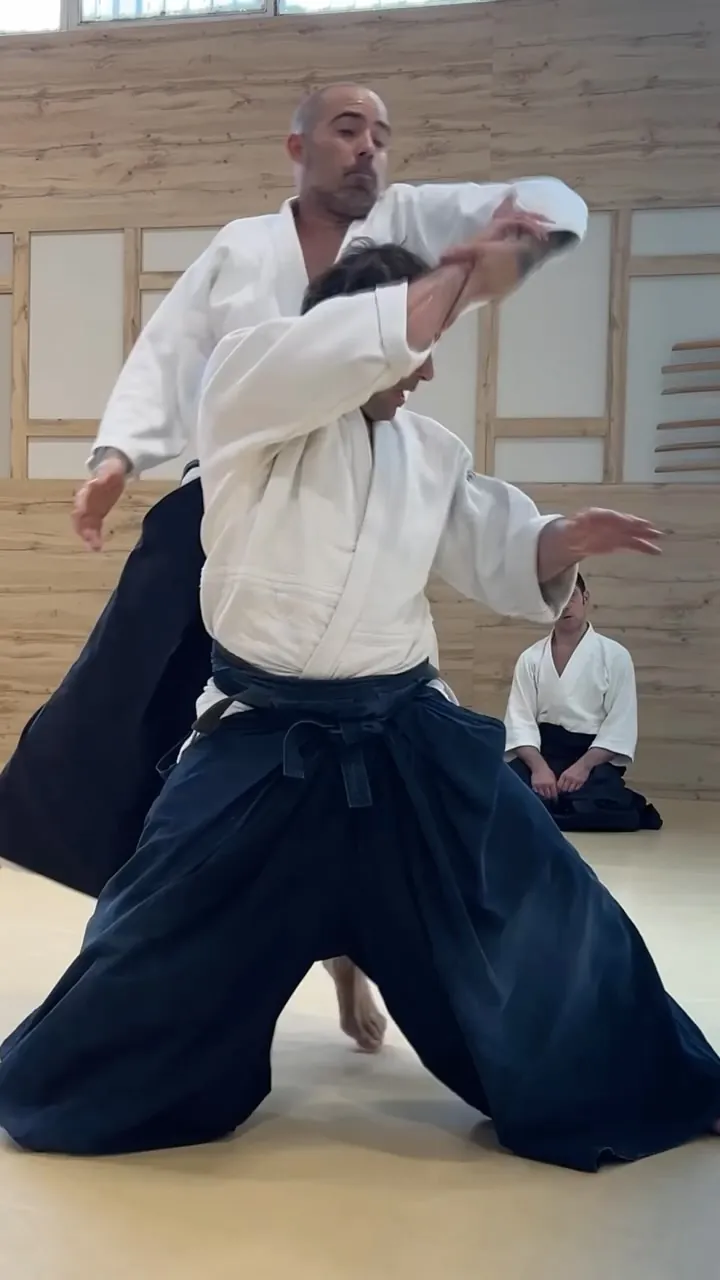 Christian Morgenstern Shidoin 5é dan Aikikai. Aikido Musubi Jornades d