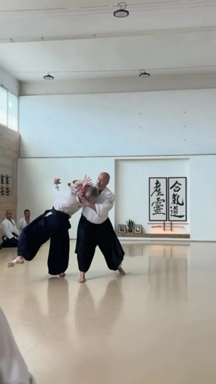 Aikido class with Francisco Manchón Shihan 6th dan! It was a great pri