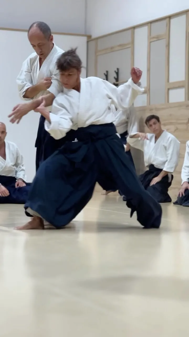 As we get ready to attend Emilio Cardia Sensei upcoming seminar in Cor