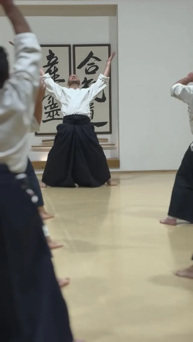 Aikido Masterclass led by Joshua Layton Sensei from @m.aikikai!