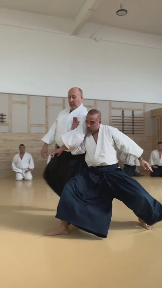PART 1 OF 2 🎻🌪️ Francisco Manchón @ Aikido Musubi