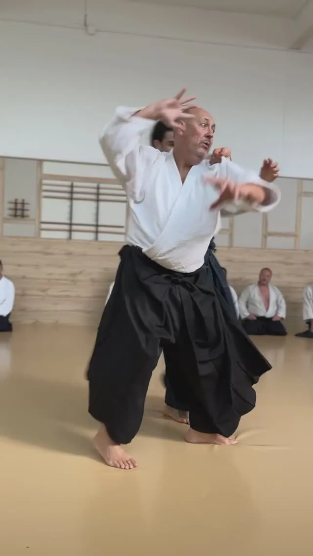 PART 2 OF 2 🎻🌩️ Francisco Manchón @ Aikido Musubi