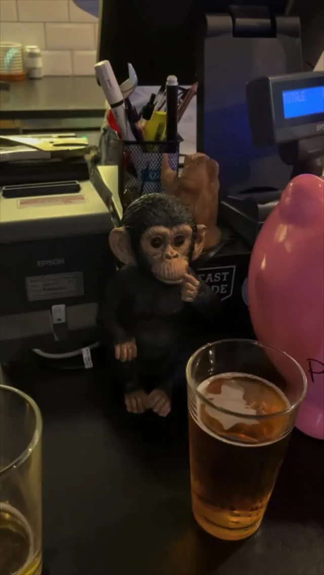🍺🐒 BONUS INTERLUDE: Drinking Monkeys (lit.)