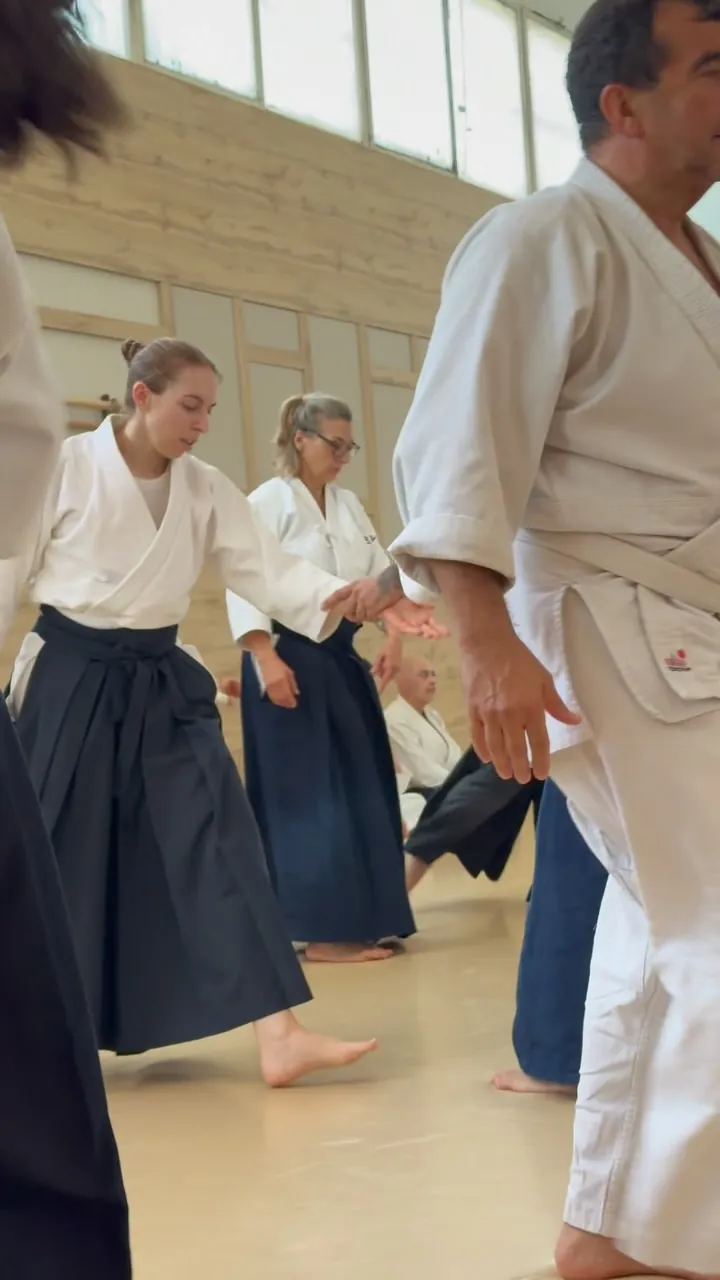How was Michelle Feilen Sensei’s class last Saturday at Aikido Musubi?
